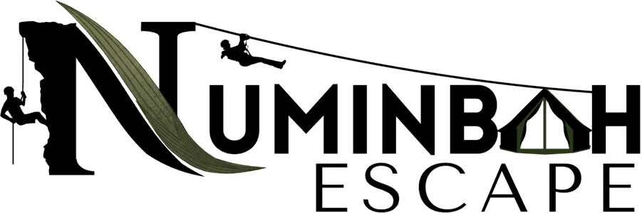 Numinbah Escape
